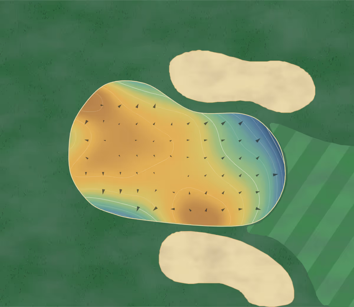 Green contour map of Myakka Pines in Englewood, Florida: 204 elevation contours at a 3-inch interval with fall-line arrows, traced from 1-meter lidar
