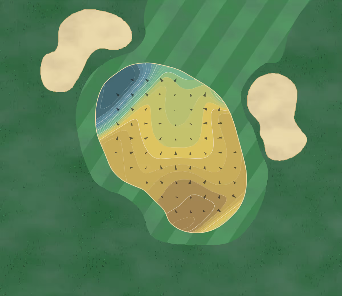 Green contour map of Myers Park in Charlotte, North Carolina — 253 elevation contours at a 3-inch interval with fall-line arrows, traced from 1-meter lidar