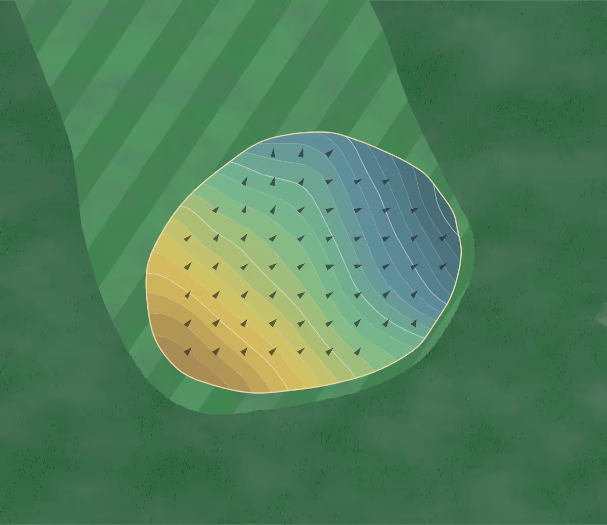 Green contour map of Myopia Hunt in South Hamilton, Massachusetts — 207 elevation contours at a 3-inch interval with fall-line arrows, traced from 1-meter lidar