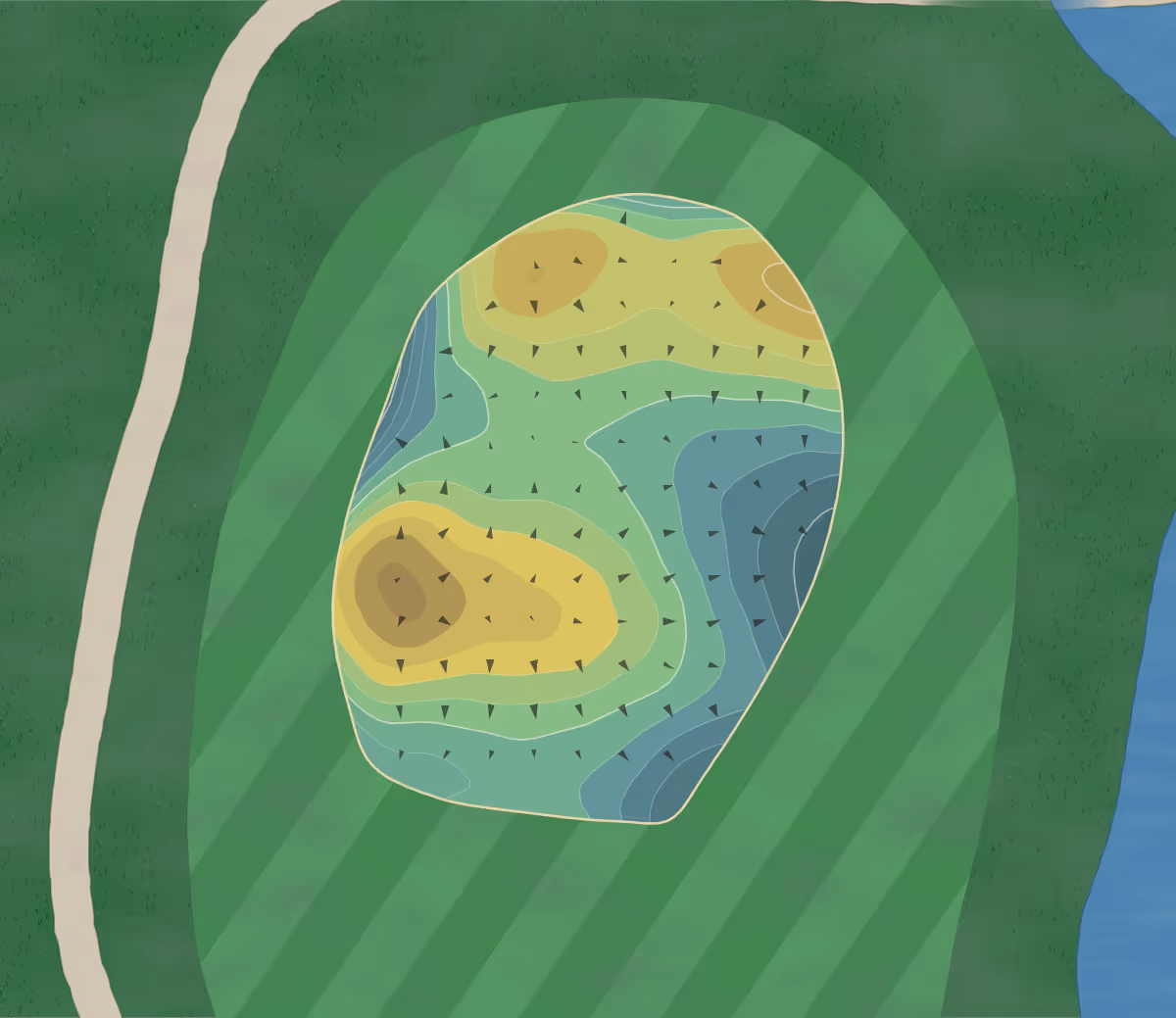 Green contour map of Myrtlewood in Myrtle Beach, South Carolina — 225 elevation contours at a 3-inch interval with fall-line arrows, traced from 1-meter lidar