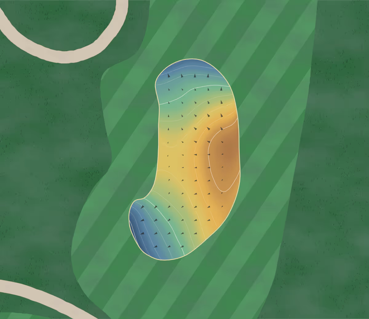 Green contour map of Nags Head in Nags Head, North Carolina — 64 elevation contours at a 3-inch interval with fall-line arrows, traced from 1-meter lidar