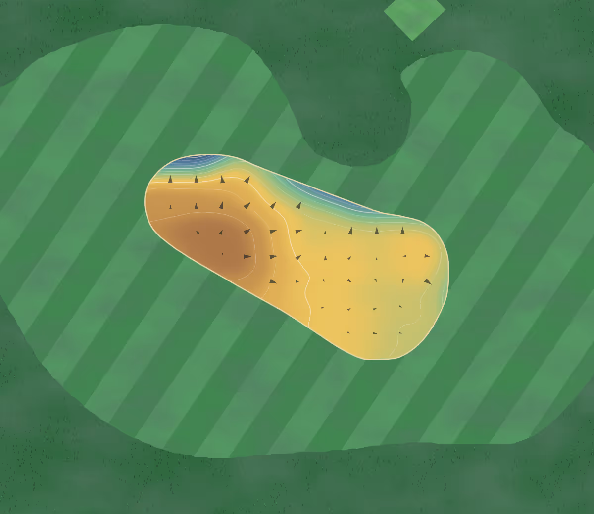Green contour map of Nailcote Hall in Berkswell, United Kingdom — 102 elevation contours at a 8-centimeter interval with fall-line arrows, traced from 1-meter lidar