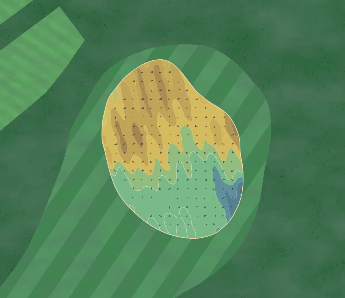 Green contour map of Nairn Dunbar in Nairn, Scotland — 184 elevation contours at a 8-centimeter interval with fall-line arrows, traced from 1-meter lidar