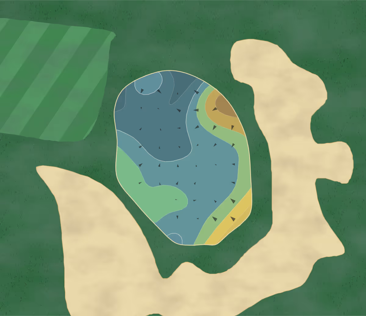 Green contour map of Naples Grande in Naples, Florida — 5 elevation contours at a 3-inch interval with fall-line arrows, traced from 1-meter lidar