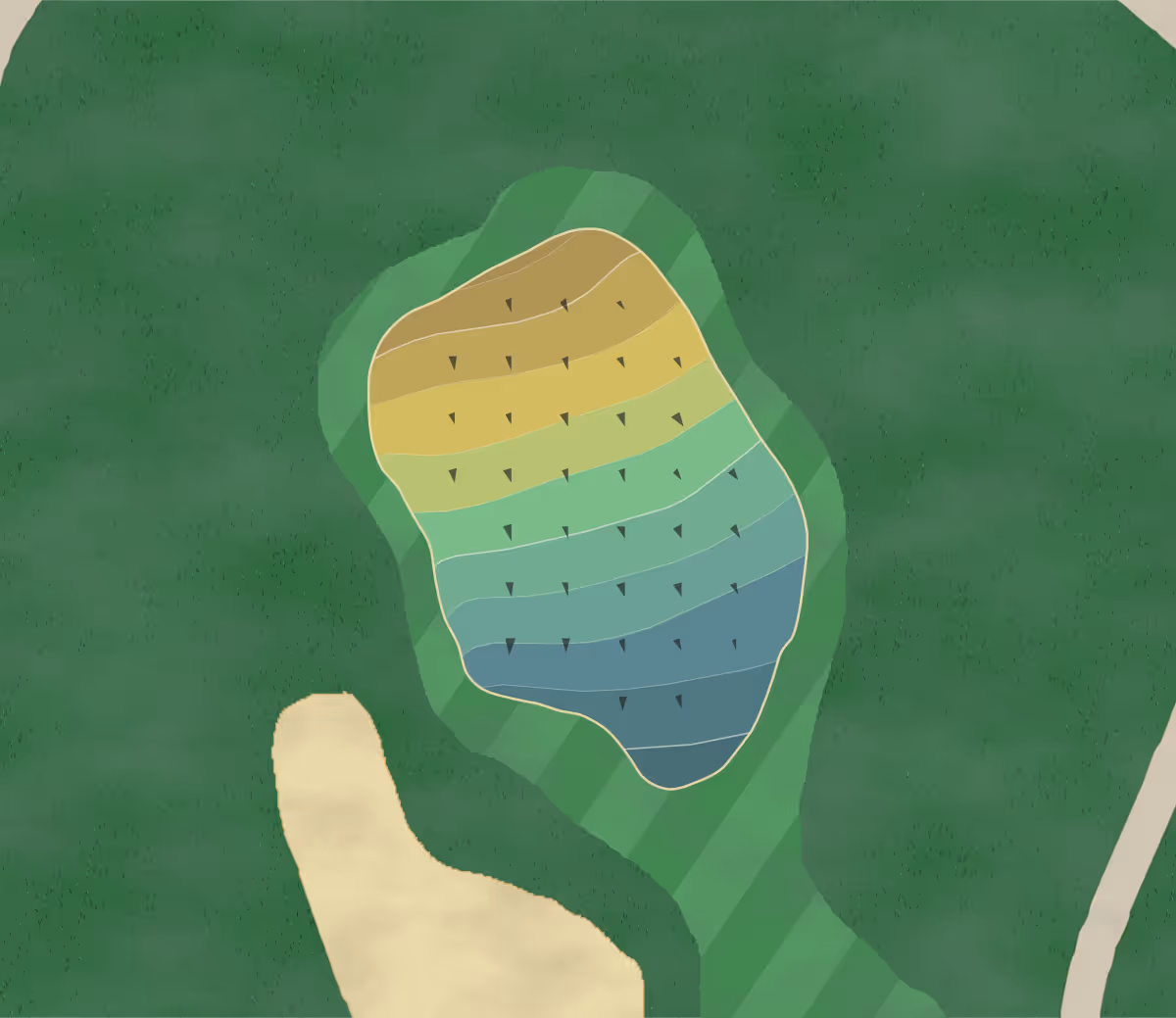 Green contour map of Nature Walk in Lynn Haven, Florida — 116 elevation contours at a 3-inch interval with fall-line arrows, traced from 1-meter lidar