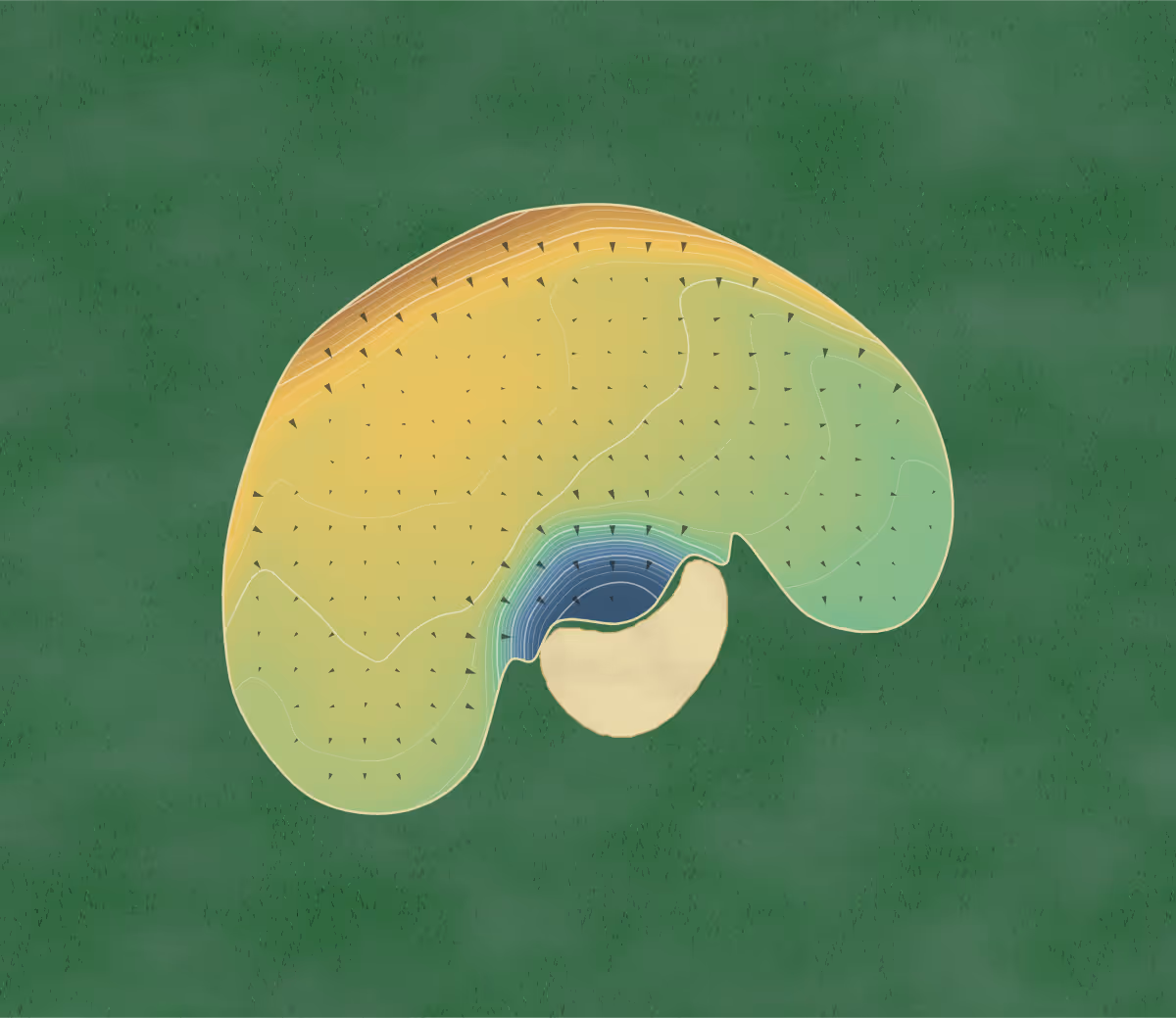 Green contour map of Naunton Downs in Cheltenham, England — 172 elevation contours at a 8-centimeter interval with fall-line arrows, traced from 1-meter lidar