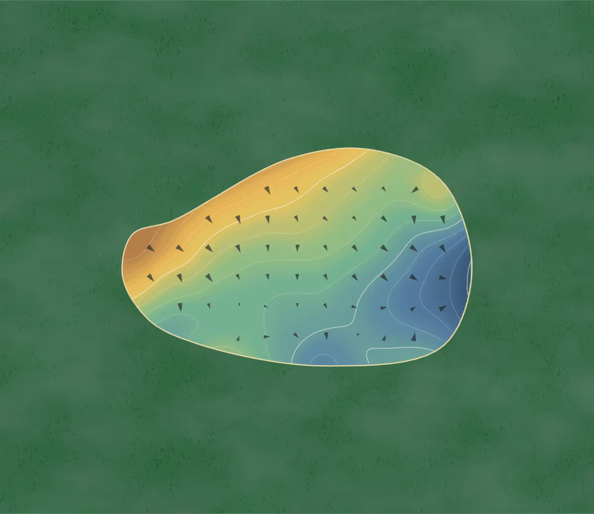 Green contour map of Nelson Bay in Nelson Bay, Australia — 31 elevation contours at a 8-centimeter interval with fall-line arrows, traced from 1-meter lidar