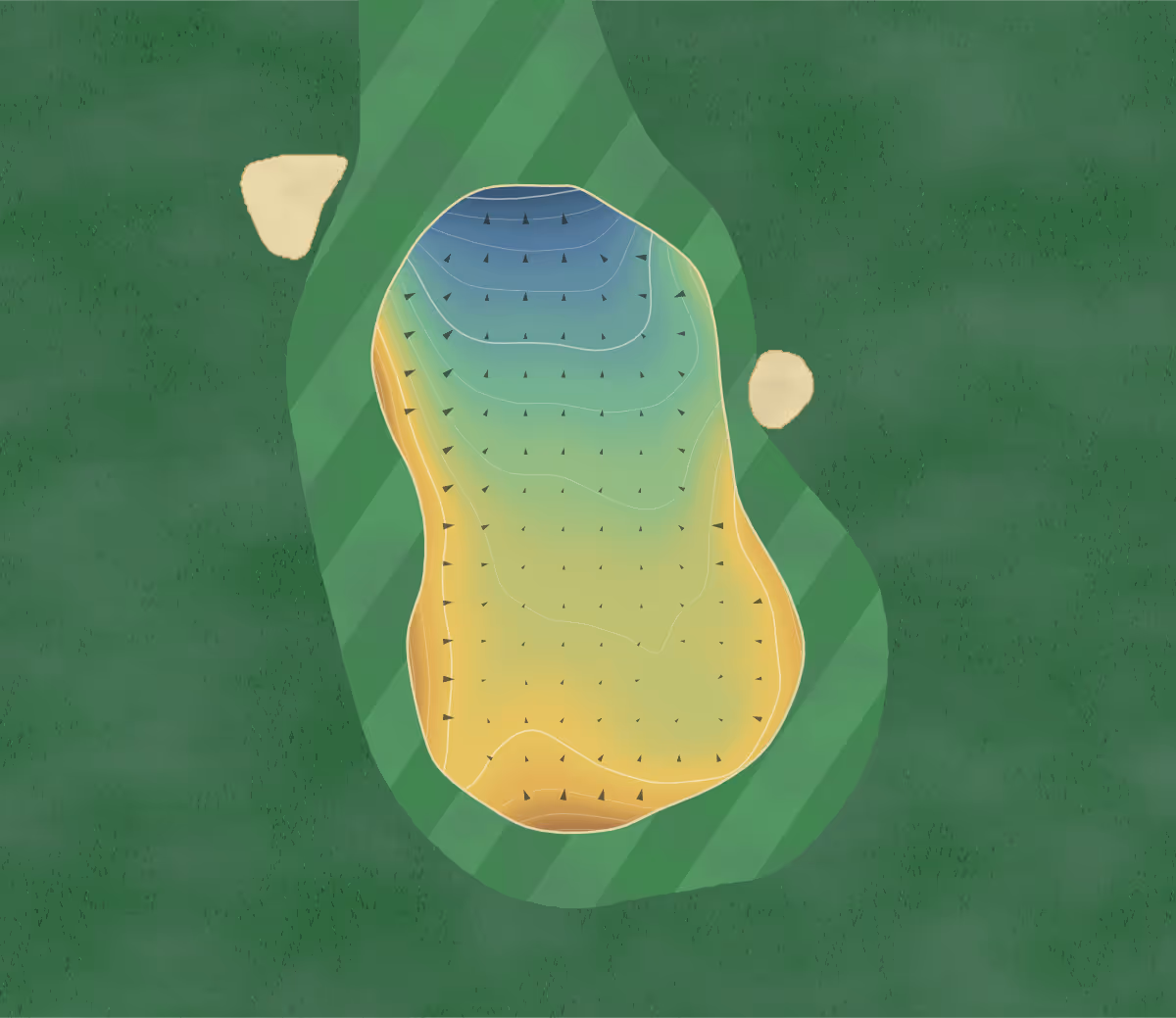 Green contour map of Nelson in Nelson, New Zealand — 158 elevation contours at a 8-centimeter interval with fall-line arrows, traced from 1-meter lidar