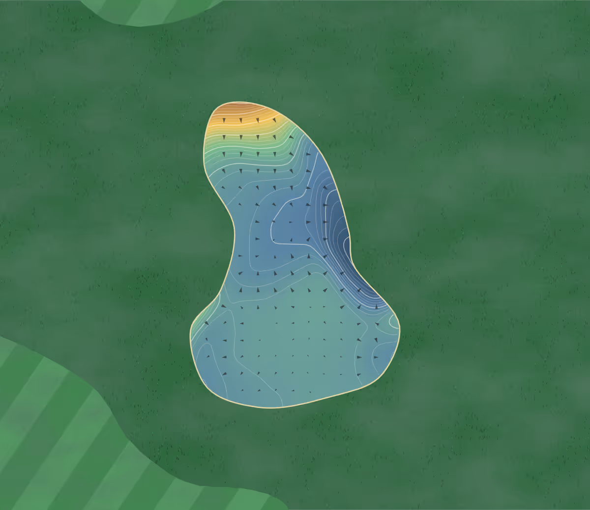 Green contour map of Nelson in Nelson, England: 56 elevation contours at a 8-centimeter interval with fall-line arrows, traced from 1-meter lidar