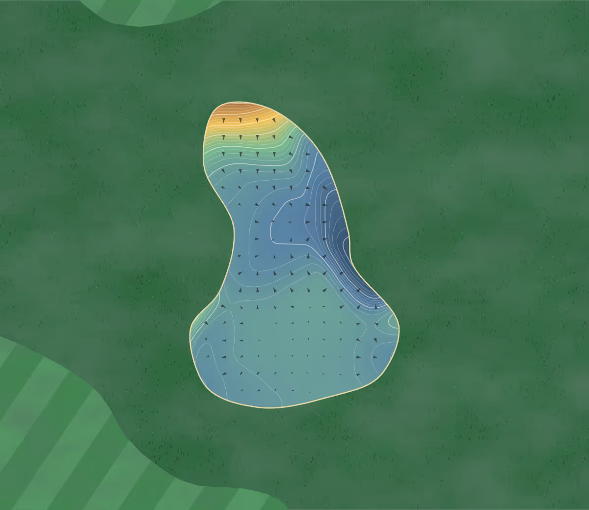 Green contour map of Nelson in Nelson, England — 56 elevation contours at a 8-centimeter interval with fall-line arrows, traced from 1-meter lidar
