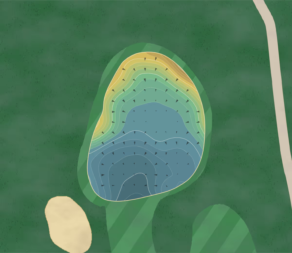 Green contour map of Neshobe GC in Brandon, Vermont — 205 elevation contours at a 3-inch interval with fall-line arrows, traced from 1-meter lidar