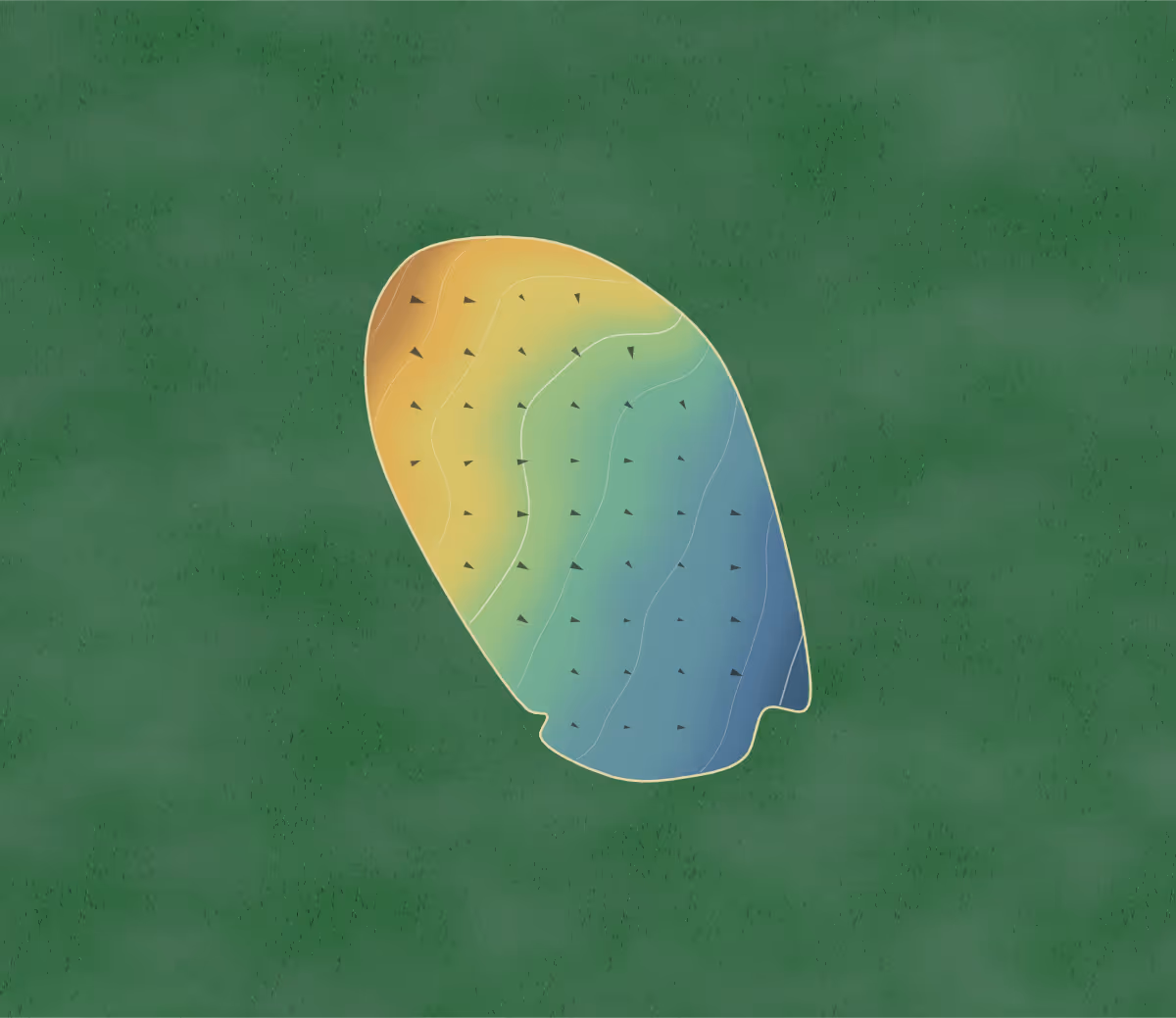 Green contour map of Ness County in Ness City, Kansas: 28 elevation contours at a 3-inch interval with fall-line arrows, traced from 1-meter lidar
