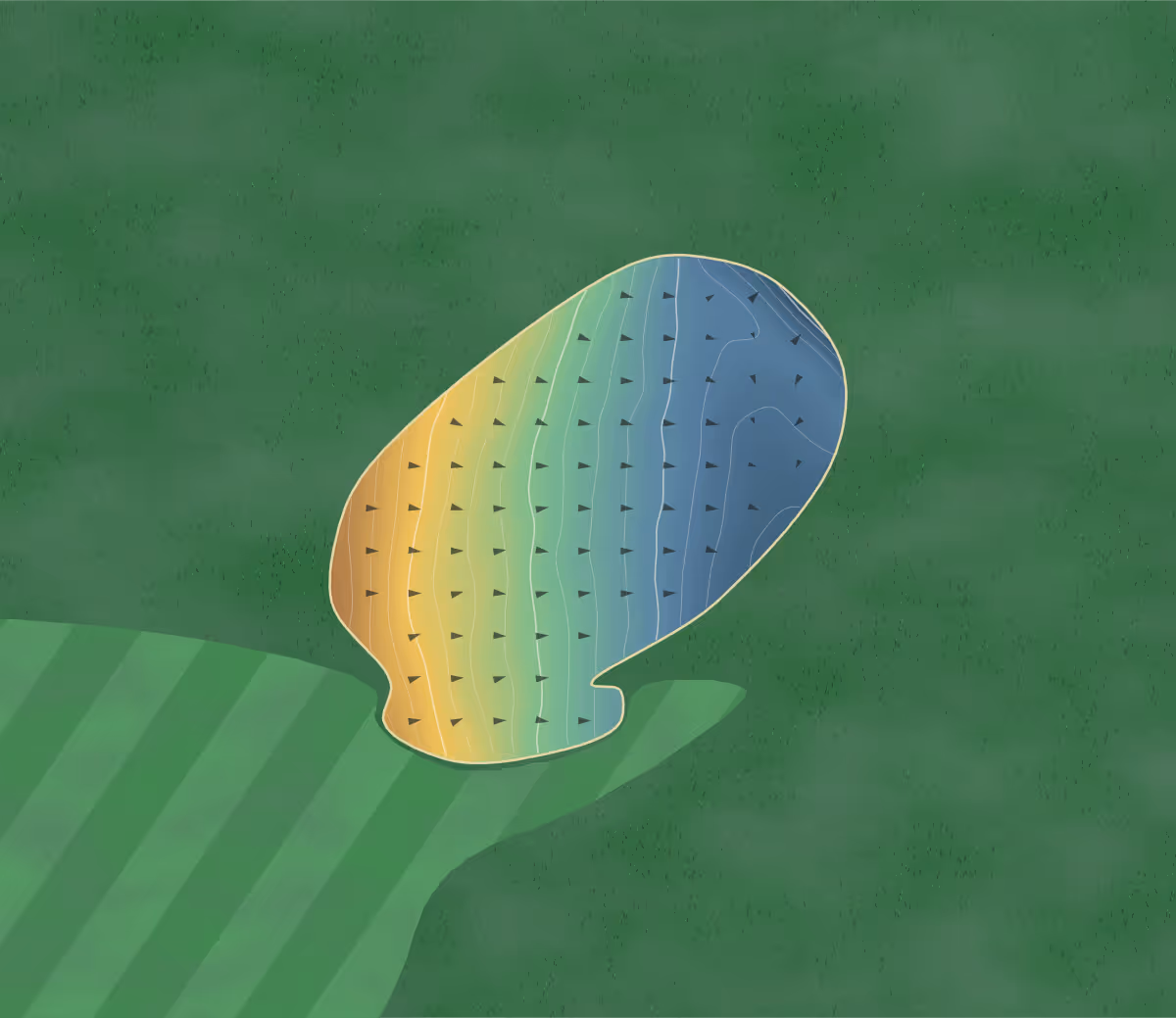 Green contour map of New Galloway in Castle Douglas, Scotland: 50 elevation contours at a 8-centimeter interval with fall-line arrows, traced from 1-meter lidar