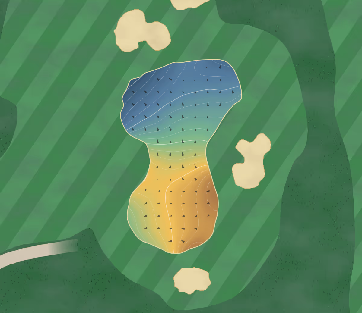 Green contour map of Judgeford in Judgeford, New Zealand — 180 elevation contours at a 8-centimeter interval with fall-line arrows, traced from 1-meter lidar