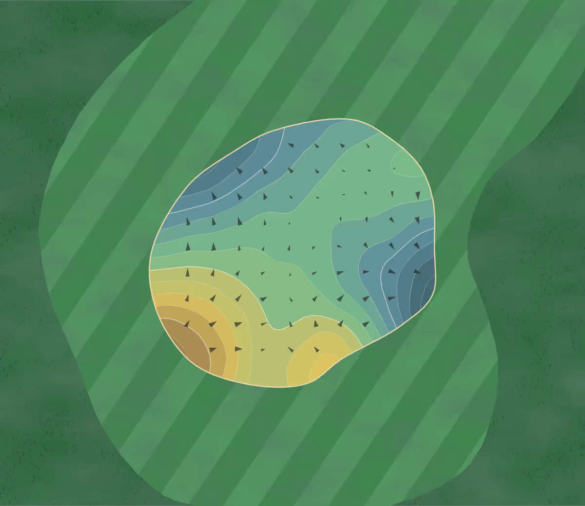 Green contour map of New Paltz in New Paltz, New York — 85 elevation contours at a 3-inch interval with fall-line arrows, traced from 1-meter lidar