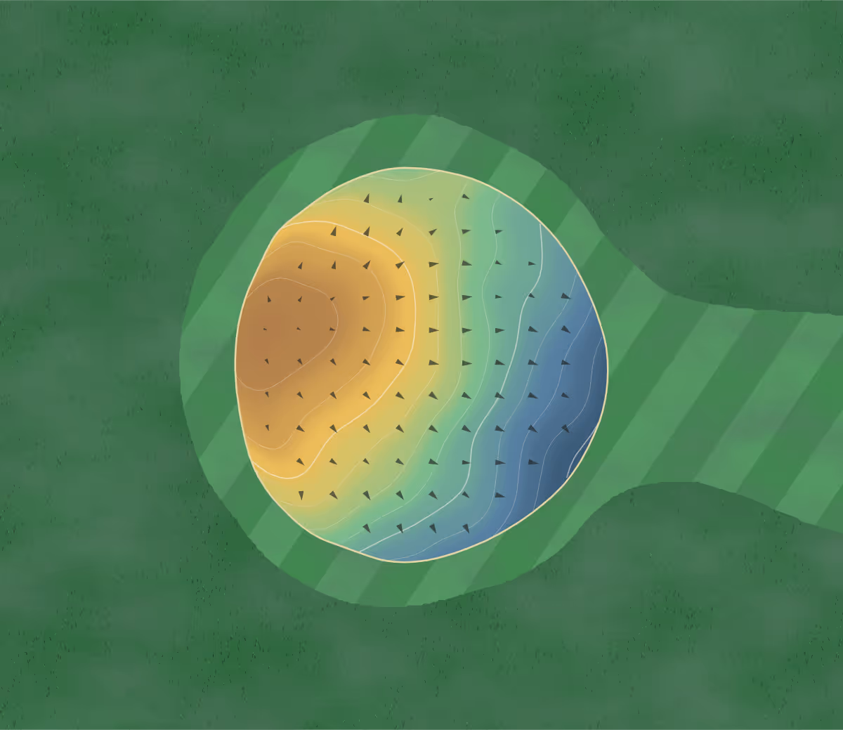Green contour map of Newaukum Gc in Chehalis, Washington — 110 elevation contours at a 3-inch interval with fall-line arrows, traced from 1-meter lidar