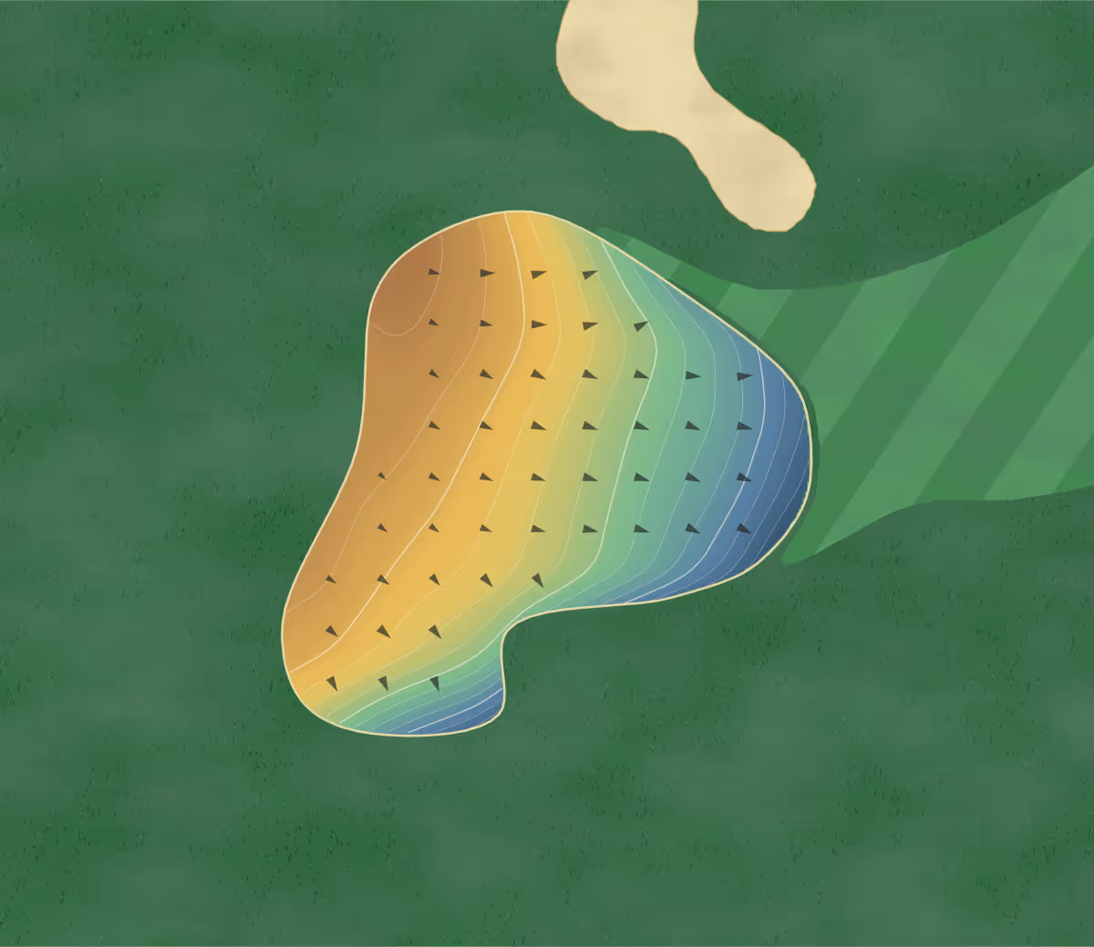 Green contour map of Nichinankitago in Nichinan, Japan: 205 elevation contours at a 8-centimeter interval with fall-line arrows, traced from 1-meter lidar