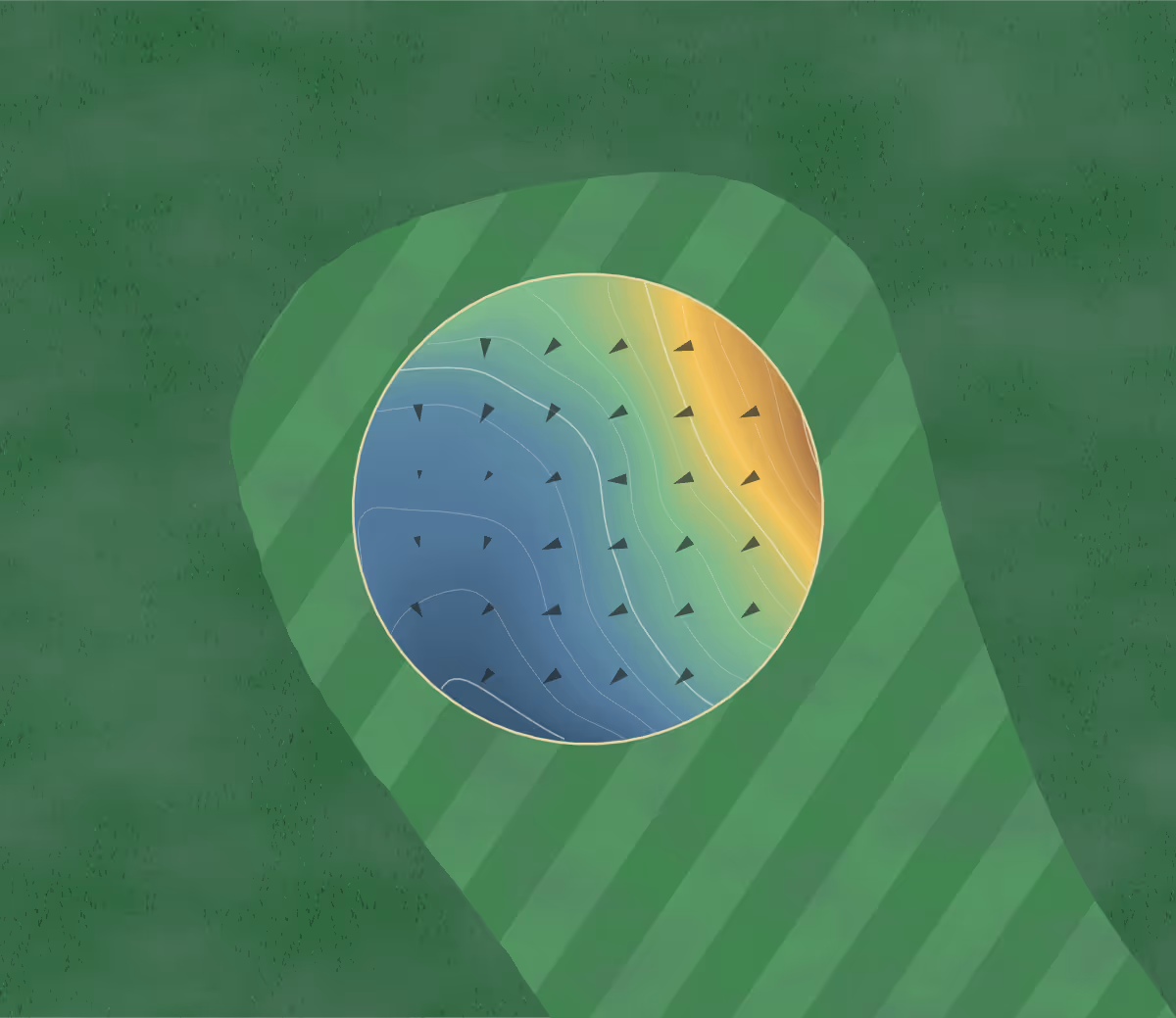 Green contour map of North Adelaide Par 3 in North Adelaide, Australia — 87 elevation contours at a 8-centimeter interval with fall-line arrows, traced from 1-meter lidar