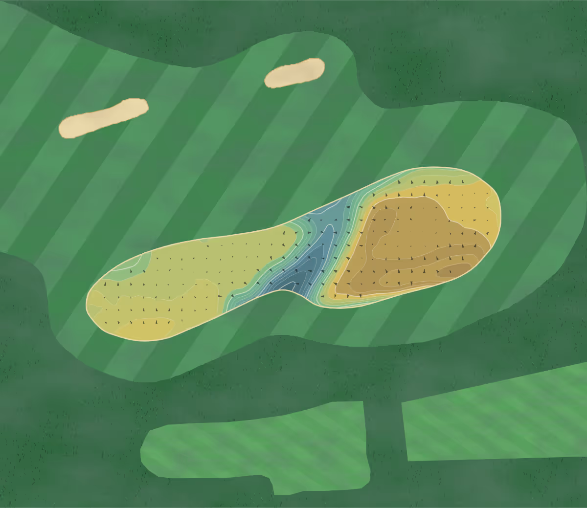 Green contour map of North Berwick in North Berwick, Scotland — 256 elevation contours at a 8-centimeter interval with fall-line arrows, traced from 1-meter lidar