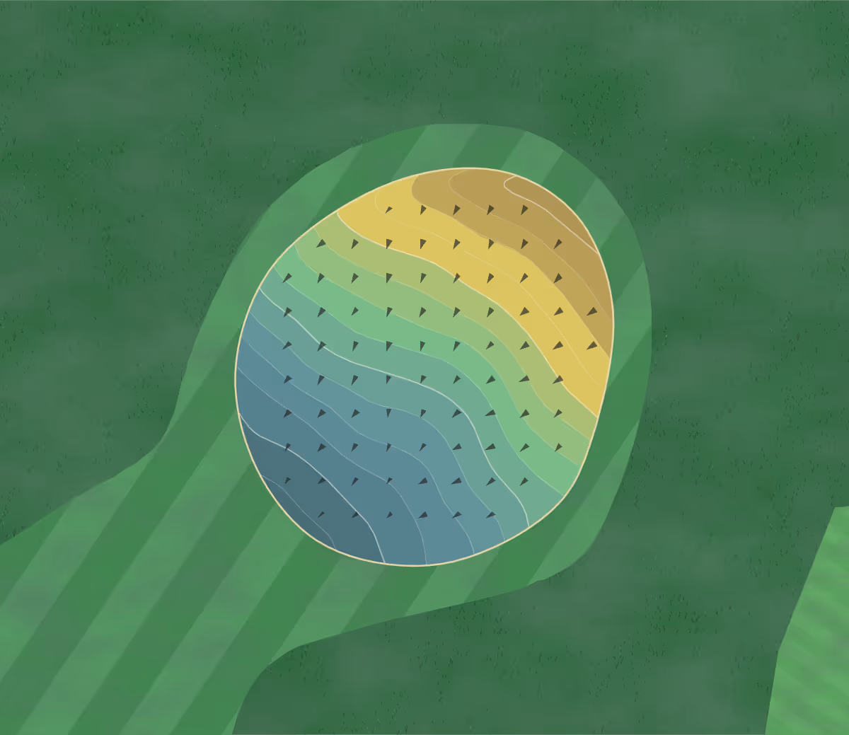 Green contour map of North Branch in North Branch, Minnesota — 61 elevation contours at a 3-inch interval with fall-line arrows, traced from 1-meter lidar