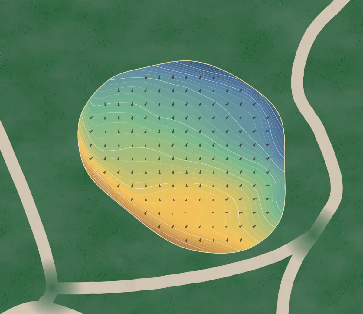 Green contour map of North Shore in Dairy Flat, New Zealand — 389 elevation contours at a 8-centimeter interval with fall-line arrows, traced from 1-meter lidar