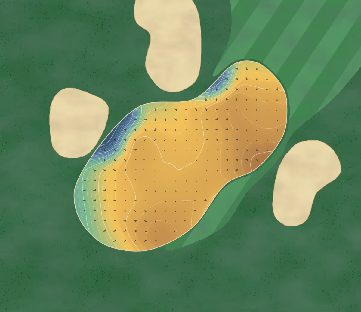 Green contour map of Northern Bear in Sherwood Park, Canada: 288 elevation contours at a 8-centimeter interval with fall-line arrows, traced from 1-meter lidar
