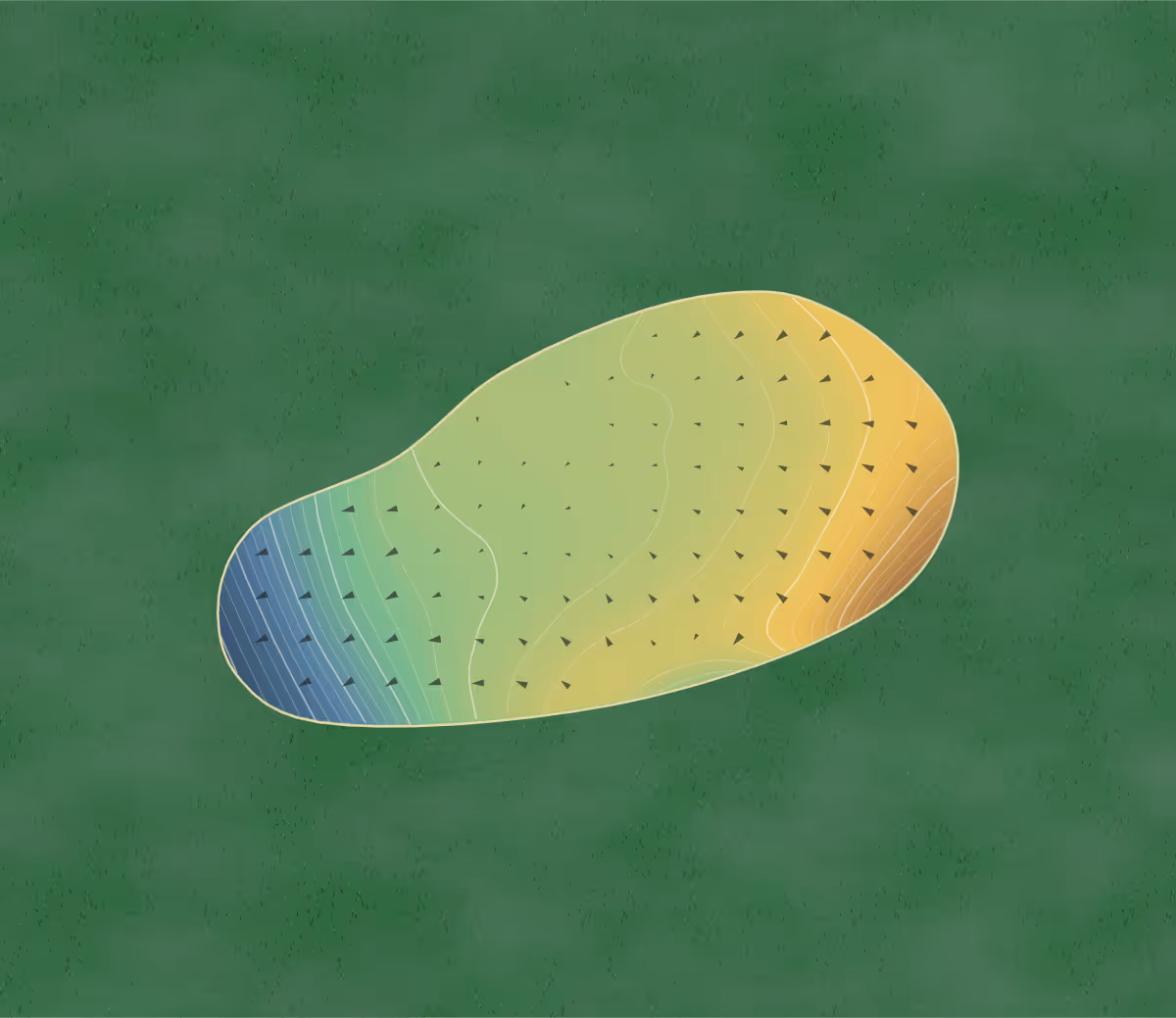 Green contour map of Northern Dunes in South Bruce Peninsula, Canada: 211 elevation contours at a 8-centimeter interval with fall-line arrows, traced from 1-meter lidar