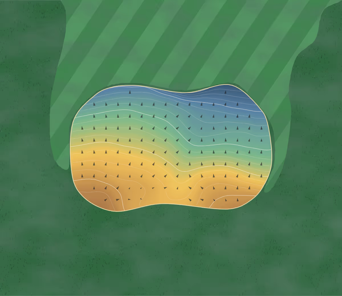 Green contour map of Northop Country Park in Mold, Wales: 179 elevation contours at a 8-centimeter interval with fall-line arrows, traced from 1-meter lidar