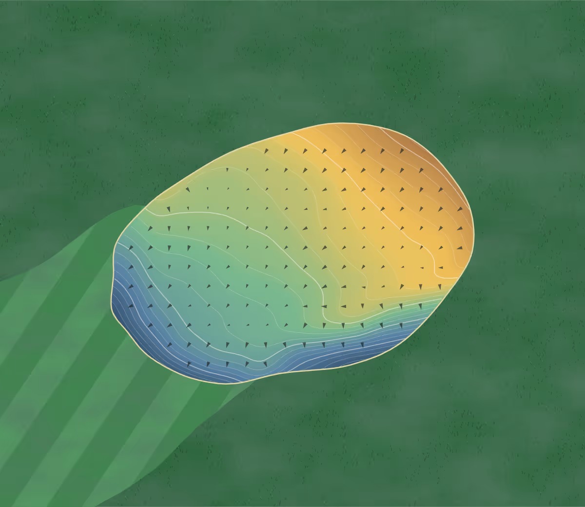 Green contour map of Northwood GC in Northwood, England: 170 elevation contours at a 8-centimeter interval with fall-line arrows, traced from 1-meter lidar