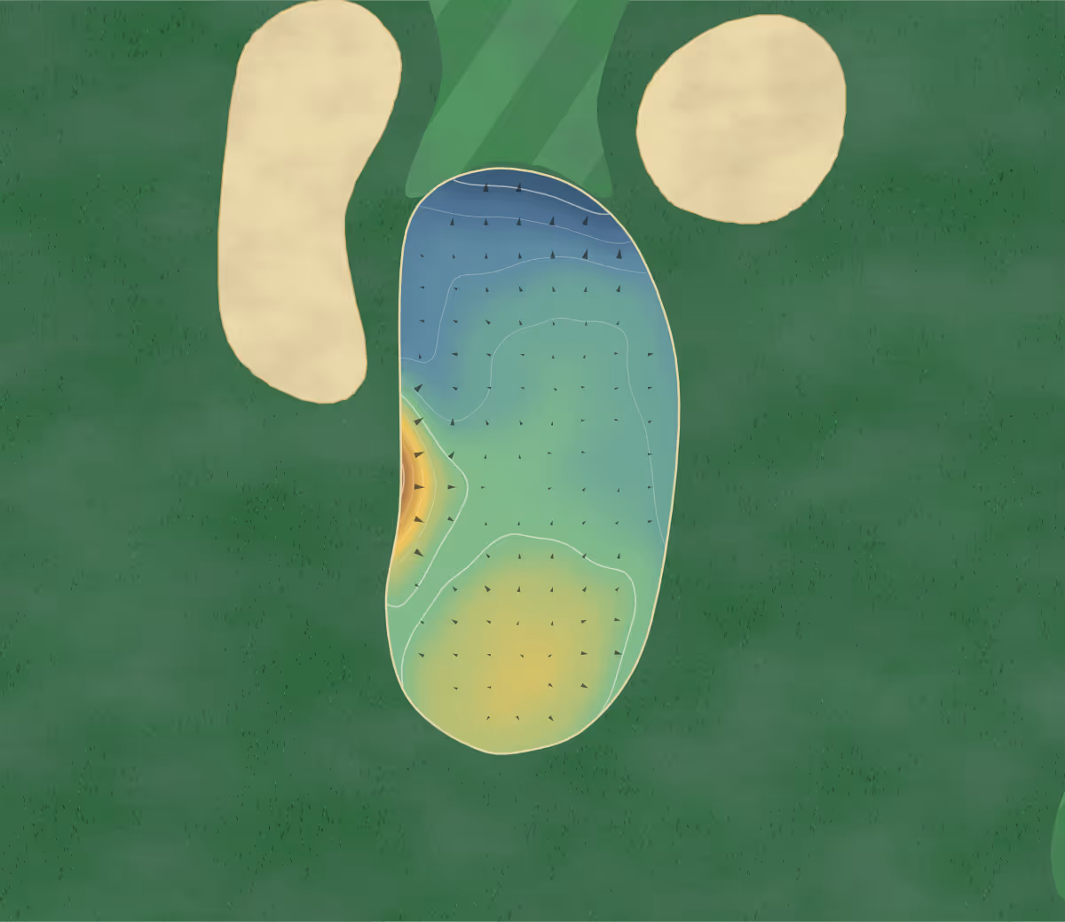 Green contour map of Nottawasaga Inn in Alliston, Canada: 49 elevation contours at a 8-centimeter interval with fall-line arrows, traced from 1-meter lidar