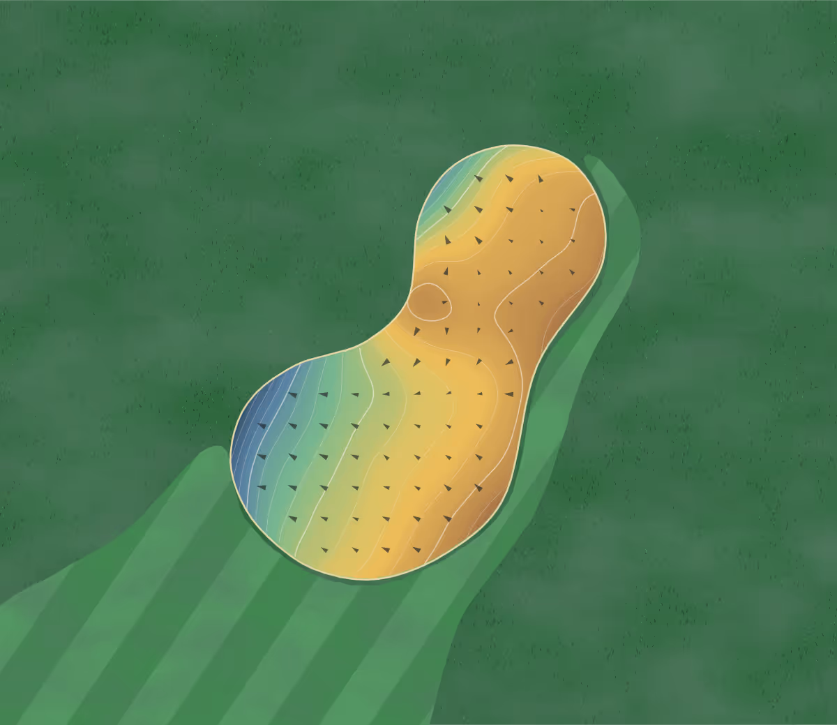 Green contour map of NuMark in Lincoln, Nebraska: 313 elevation contours at a 3-inch interval with fall-line arrows, traced from 1-meter lidar