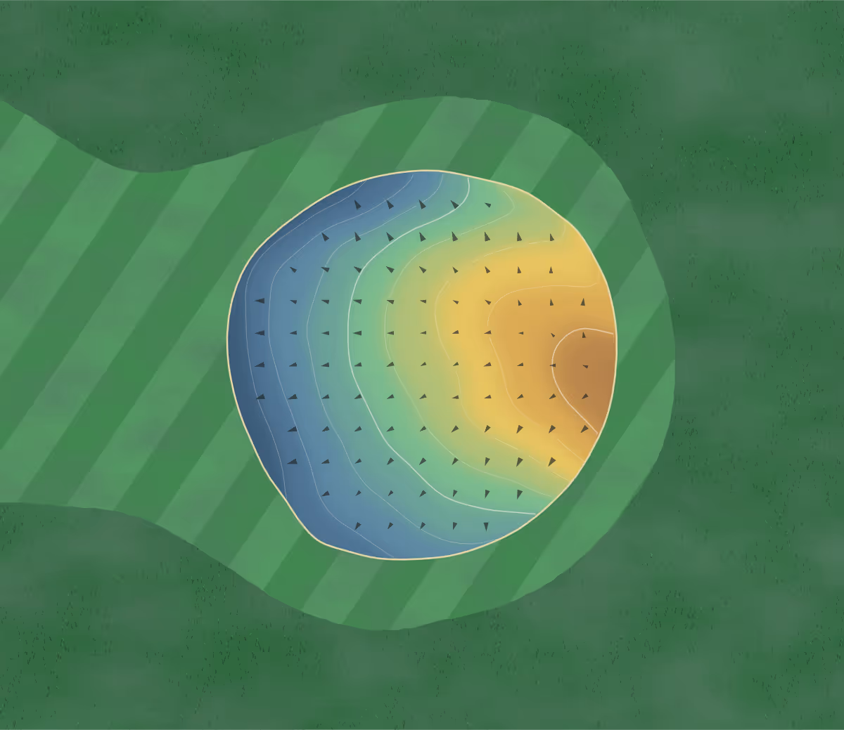 Green contour map of Oak Harbor in Baudette, Minnesota — 111 elevation contours at a 3-inch interval with fall-line arrows, traced from 1-meter lidar