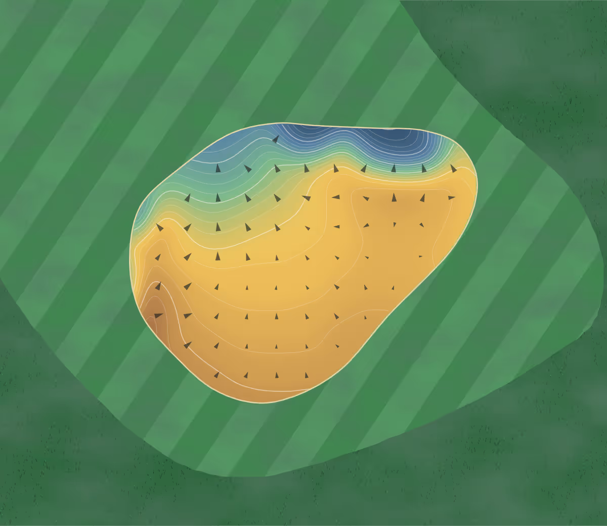 Green contour map of Oak Point in Lansvale, Australia — 239 elevation contours at a 8-centimeter interval with fall-line arrows, traced from 1-meter lidar