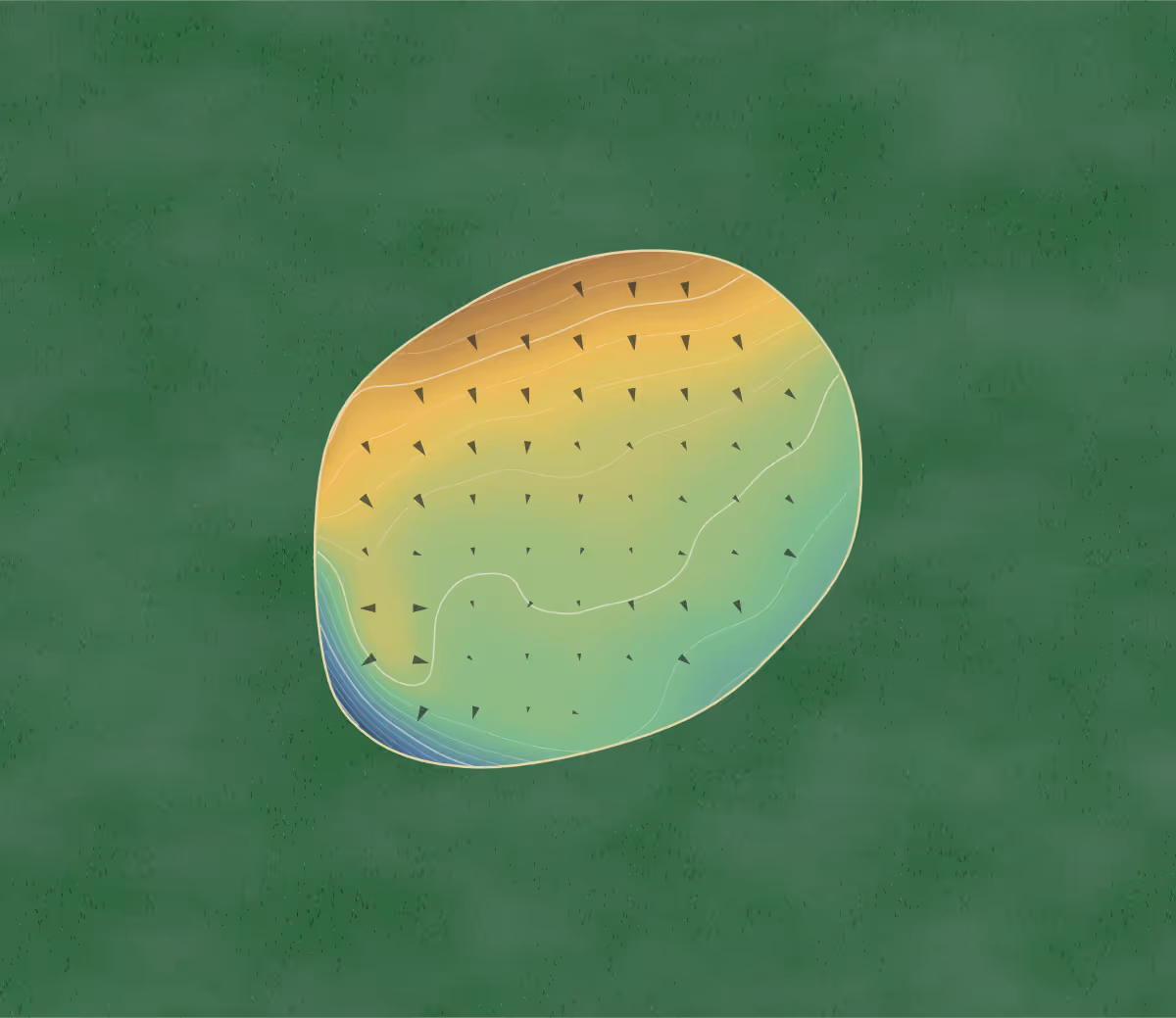 Green contour map of Oak Ridge in Muskegon, Michigan: 160 elevation contours at a 3-inch interval with fall-line arrows, traced from 1-meter lidar