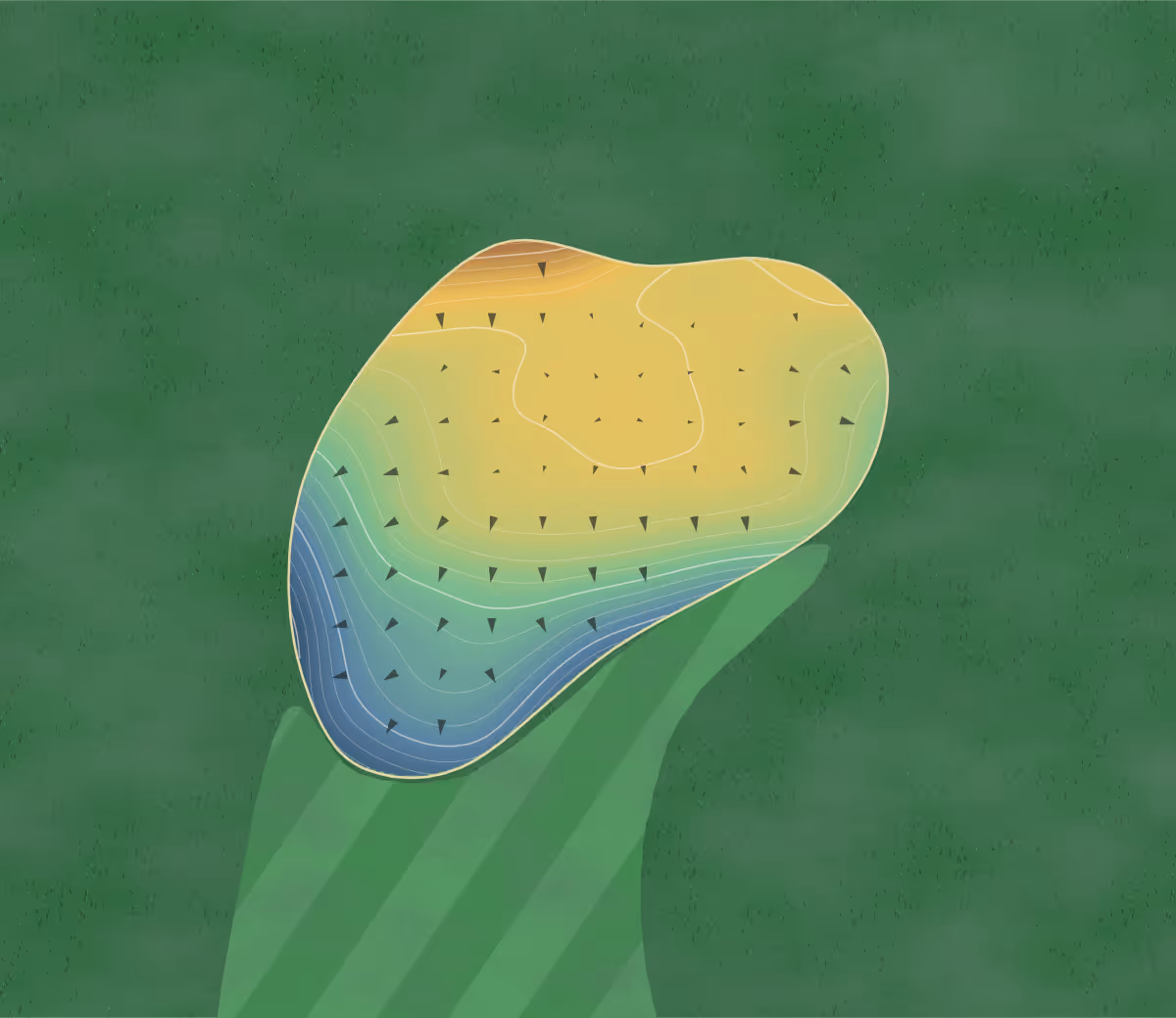 Green contour map of Oak Ridge in Milton, Wisconsin: 208 elevation contours at a 3-inch interval with fall-line arrows, traced from 1-meter lidar