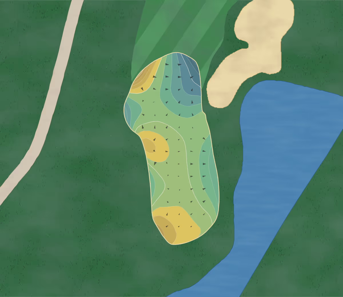 Green contour map of Oakbourne CC in Lafayette, Louisiana — 250 elevation contours at a 3-inch interval with fall-line arrows, traced from 1-meter lidar