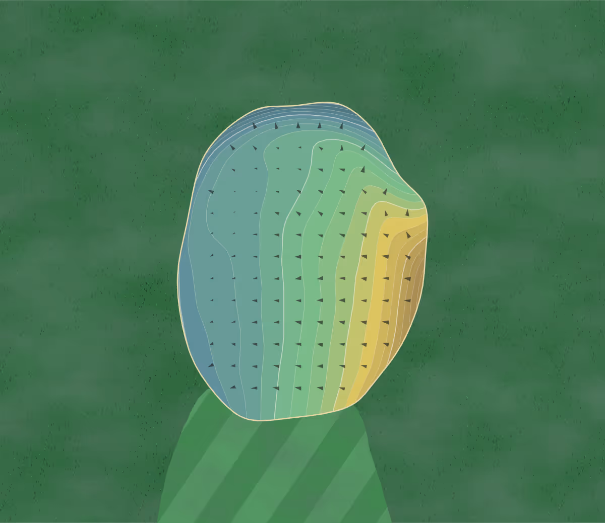 Green contour map of Oakbrook Golf in Stoystown, Pennsylvania — 219 elevation contours at a 3-inch interval with fall-line arrows, traced from 1-meter lidar