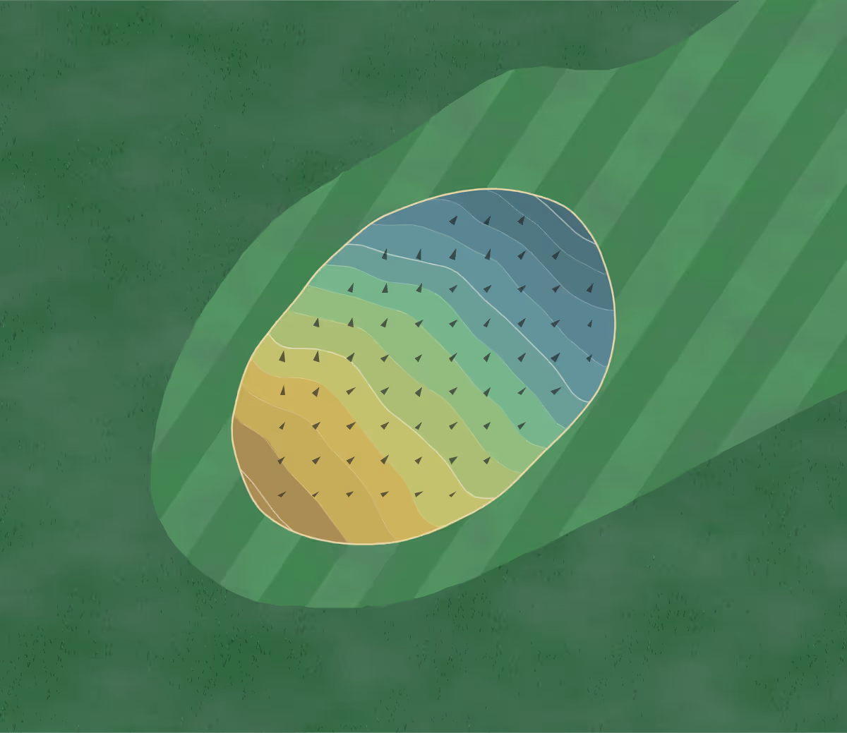 Green contour map of Oaksey Park in Malmesbury, England — 56 elevation contours at a 8-centimeter interval with fall-line arrows, traced from 1-meter lidar