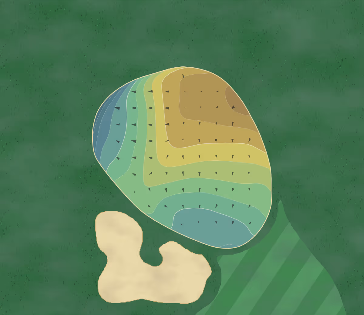 Green contour map of Ocala National in Ocala, Florida — 166 elevation contours at a 3-inch interval with fall-line arrows, traced from 1-meter lidar