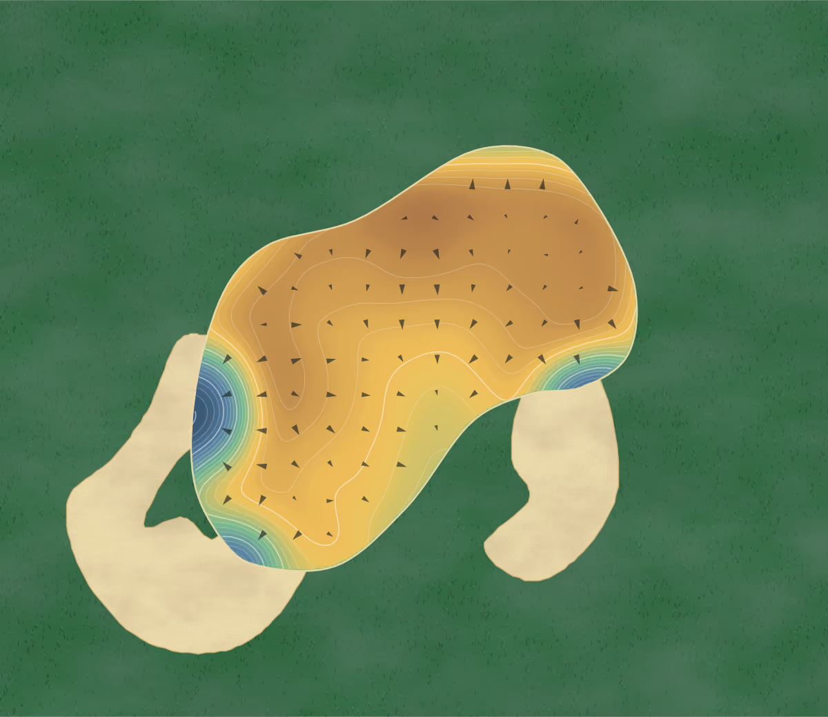 Green contour map of Ocean Forest in Sea Island, Georgia: 294 elevation contours at a 3-inch interval with fall-line arrows, traced from 1-meter lidar