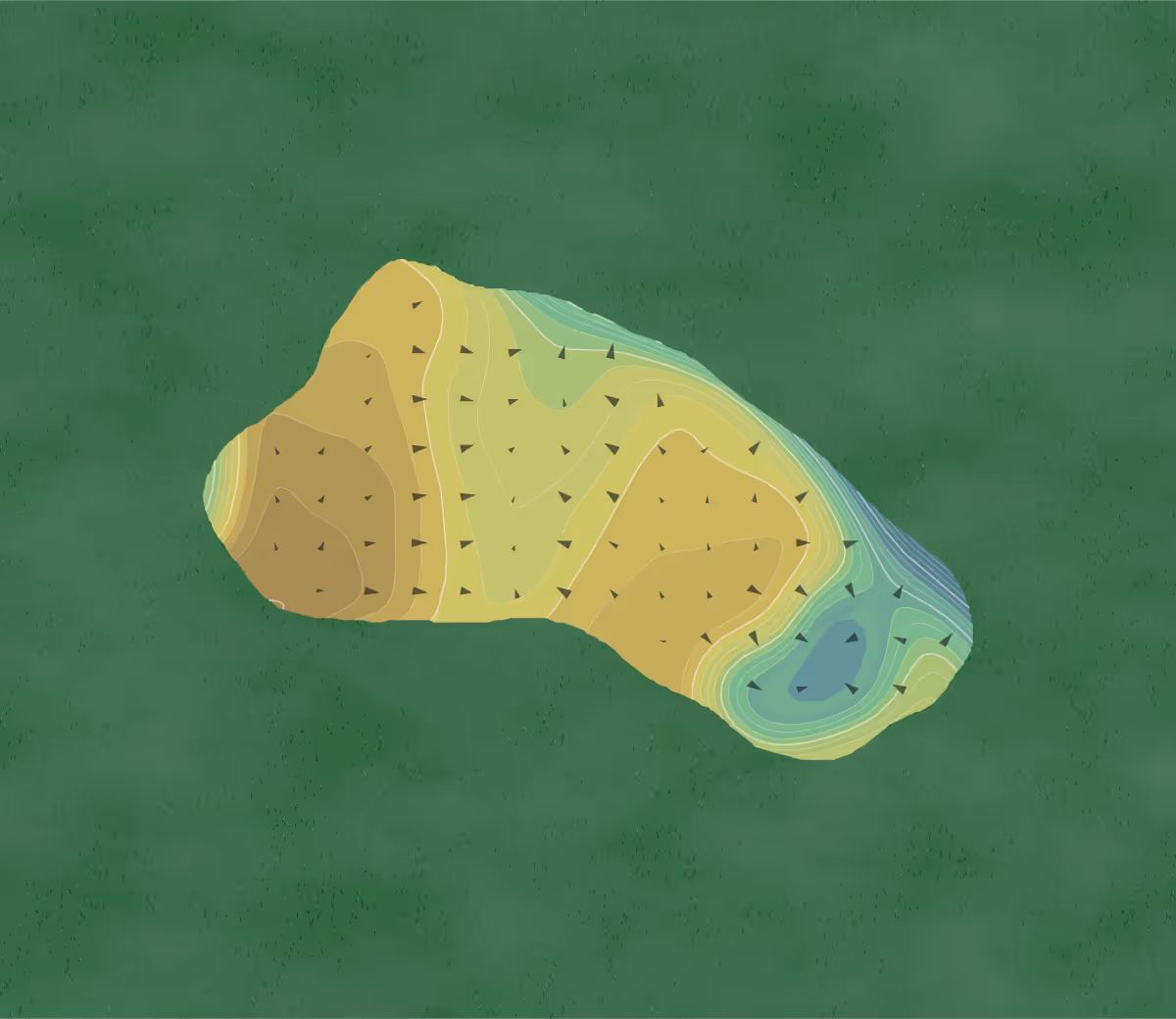 Green contour map of Ocean Forest in Sea Island, Georgia — 44 elevation contours at a 3-inch interval with fall-line arrows, traced from 1-meter lidar