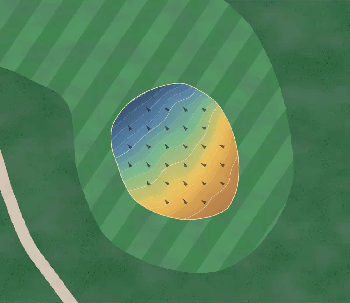 Green contour map of Ohariu Valley in Ohariu, New Zealand — 93 elevation contours at a 8-centimeter interval with fall-line arrows, traced from 1-meter lidar