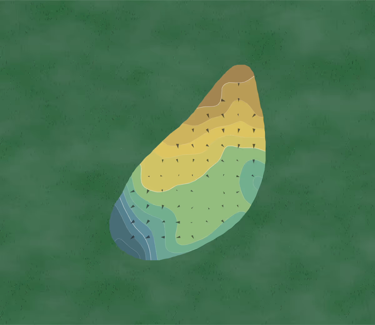 Green contour map of Old Barnwell in Windsor, South Carolina — 16 elevation contours at a 3-inch interval with fall-line arrows, traced from 1-meter lidar