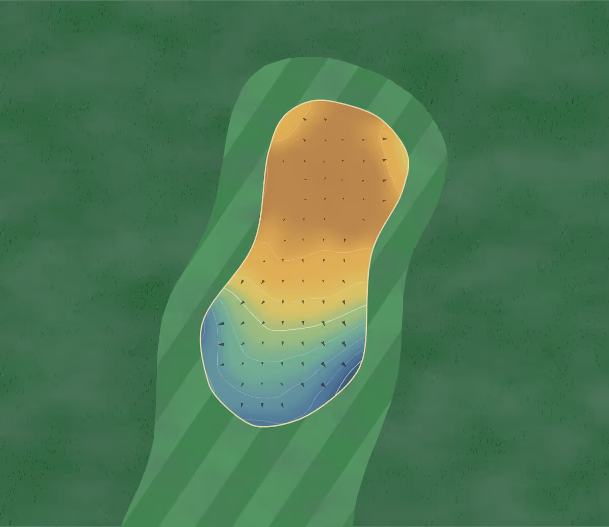 Green contour map of Old Dane in Dakota City, Nebraska: 73 elevation contours at a 3-inch interval with fall-line arrows, traced from 1-meter lidar