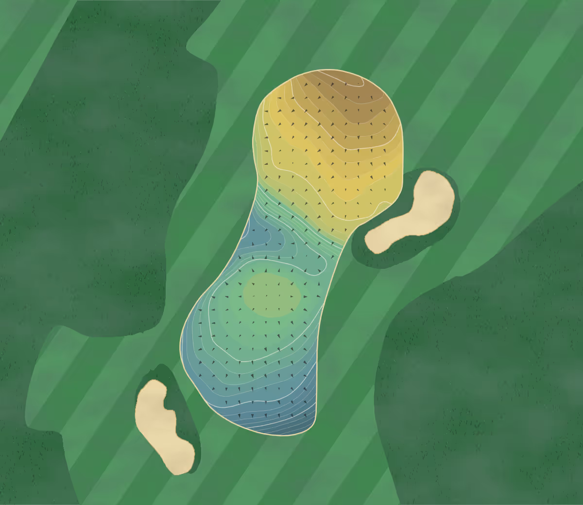 Green contour map of Old Elm in Highland Park, Illinois — 222 elevation contours at a 3-inch interval with fall-line arrows, traced from 1-meter lidar