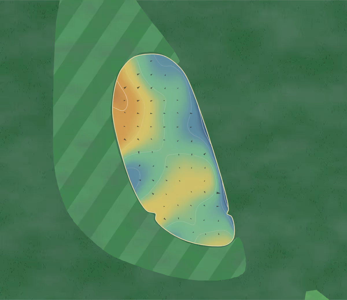 Green contour map of Old Marsh in Palm Beach Gardens, Florida: 28 elevation contours at a 3-inch interval with fall-line arrows, traced from 1-meter lidar