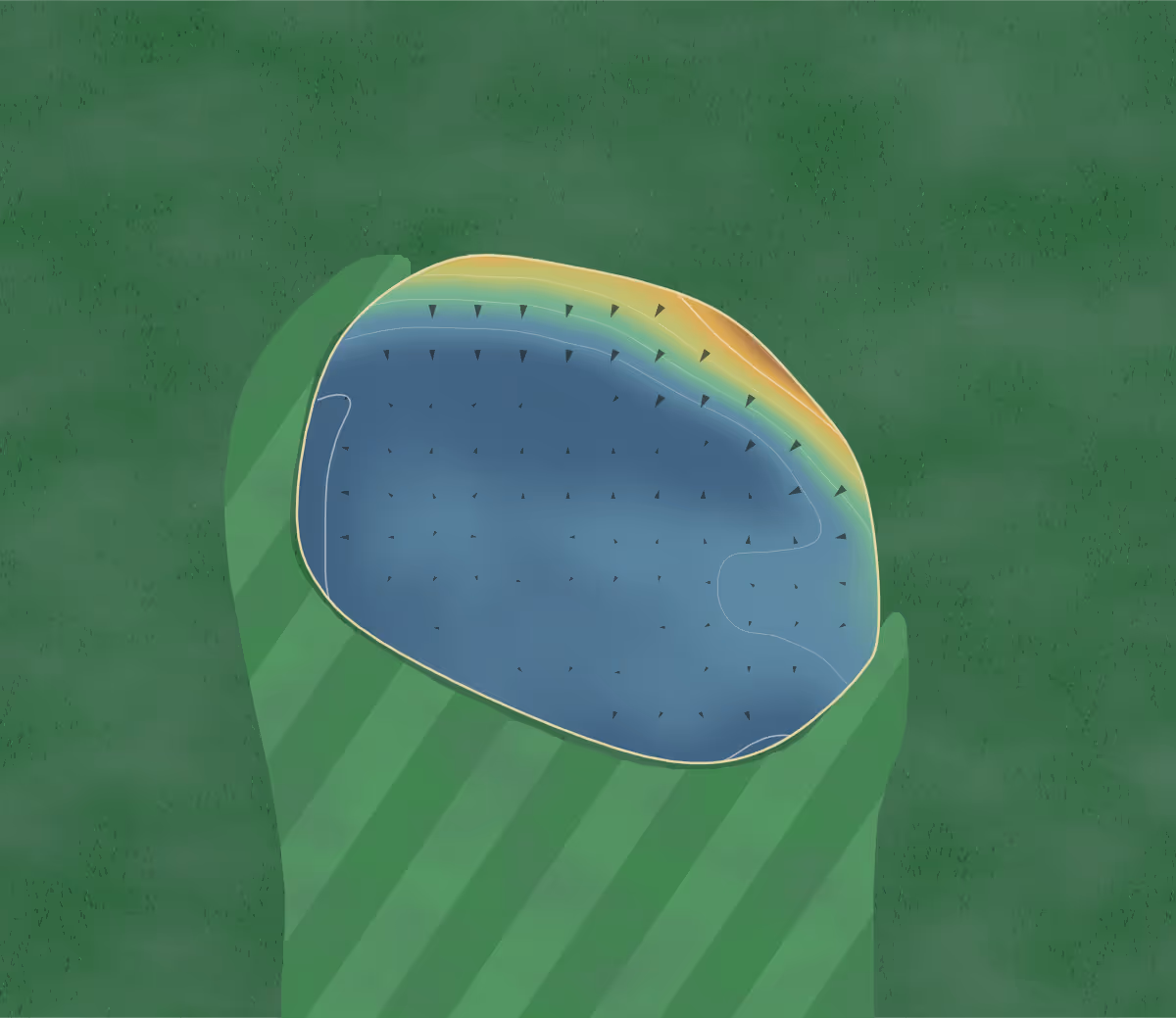 Green contour map of Old Nene in Ramsey, England — 26 elevation contours at a 8-centimeter interval with fall-line arrows, traced from 1-meter lidar
