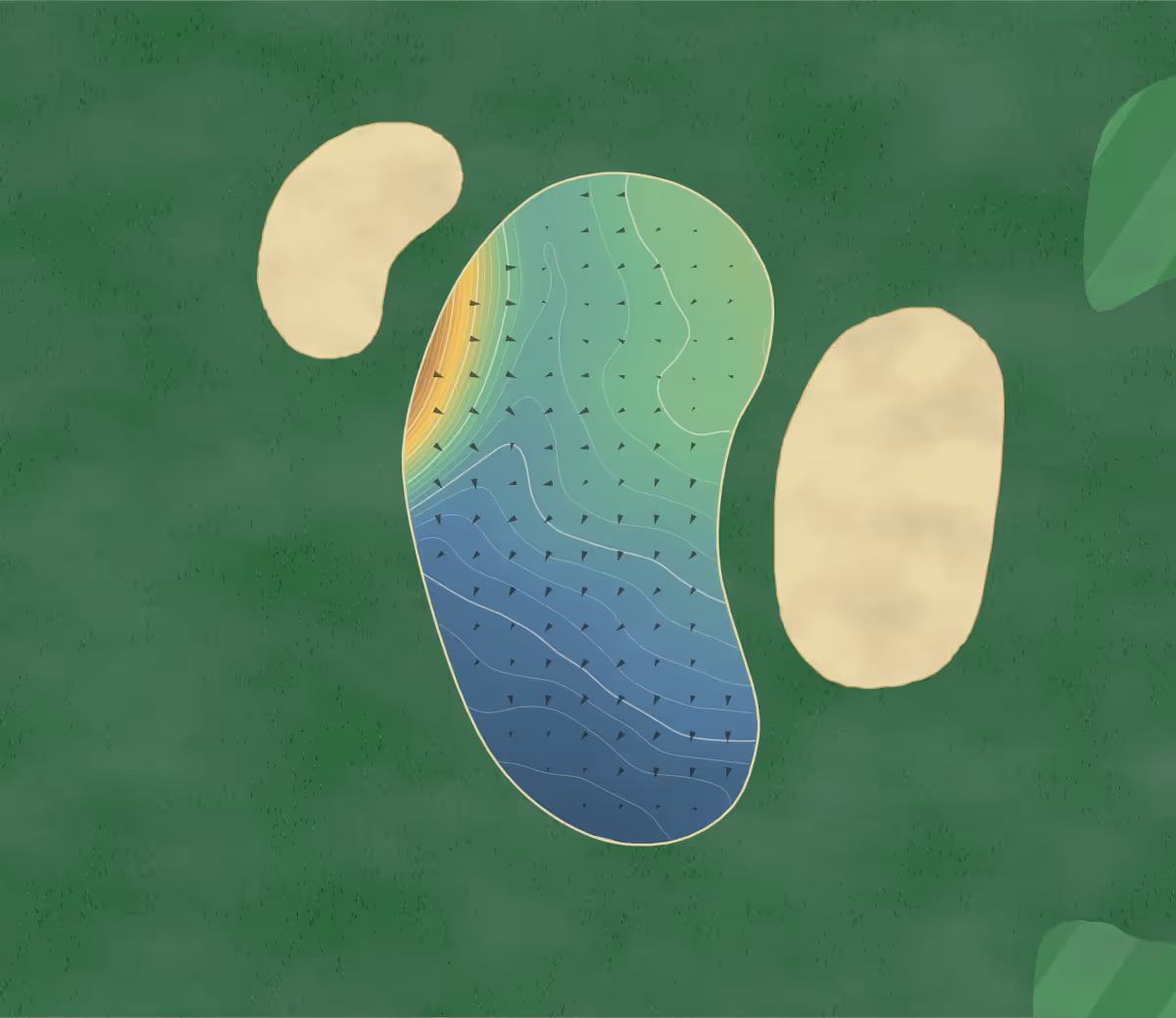 Green contour map of Old Oakland in Indianapolis, Indiana: 324 elevation contours at a 3-inch interval with fall-line arrows, traced from 1-meter lidar
