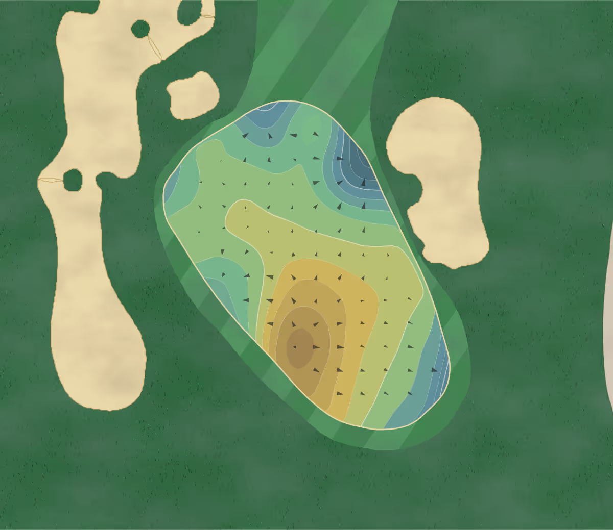 Green contour map of Old Tabby in Okatie, South Carolina — 218 elevation contours at a 3-inch interval with fall-line arrows, traced from 1-meter lidar