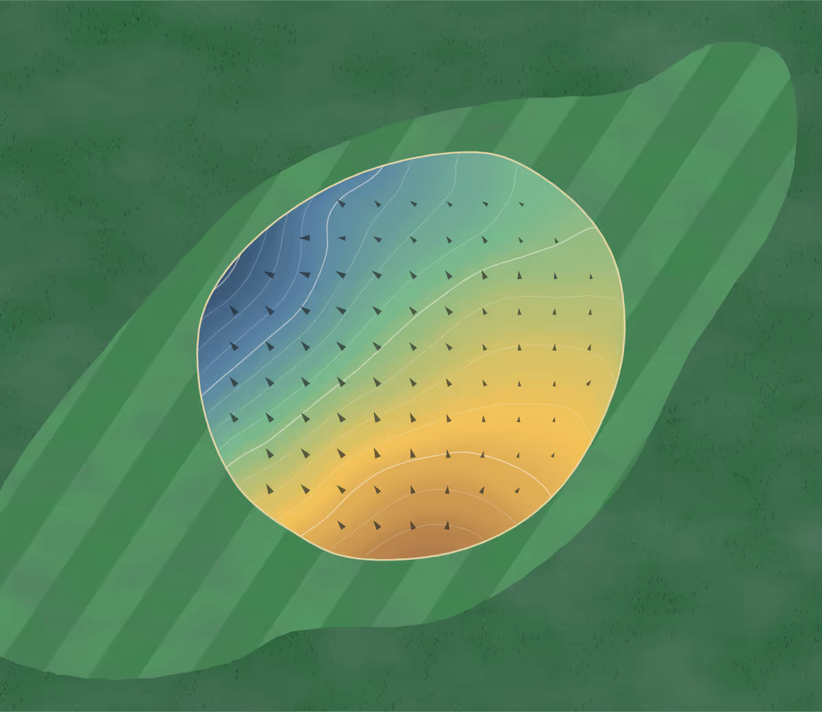 Green contour map of Olde Fort in Winnabow, North Carolina: 166 elevation contours at a 3-inch interval with fall-line arrows, traced from 1-meter lidar